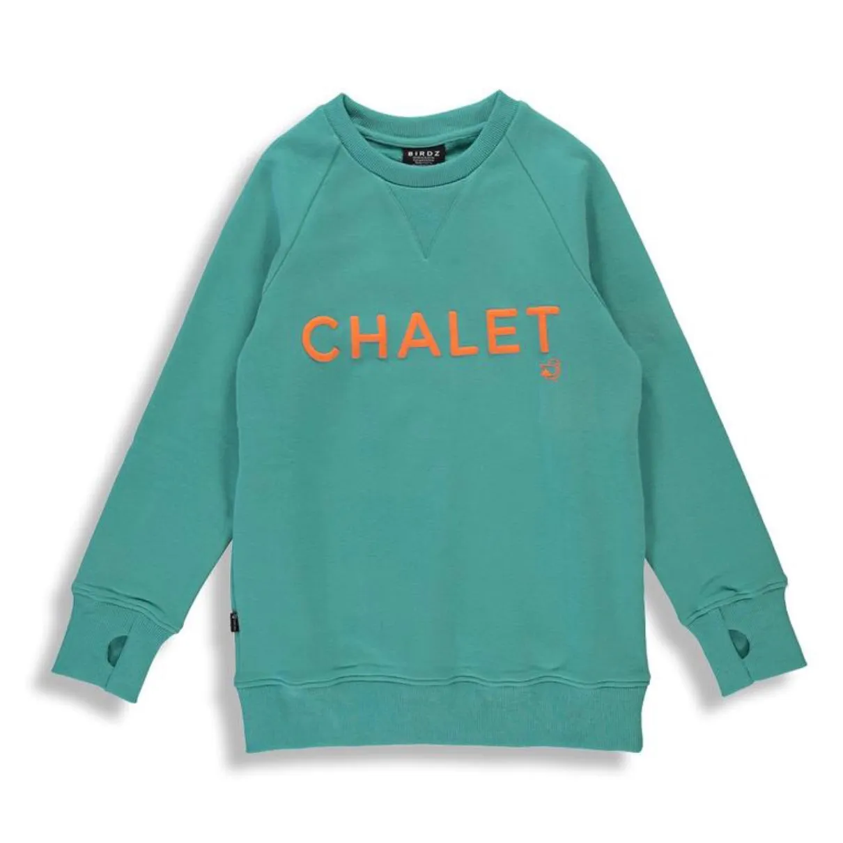 Birdz Chalet Sweatshirt - Aqua Sky