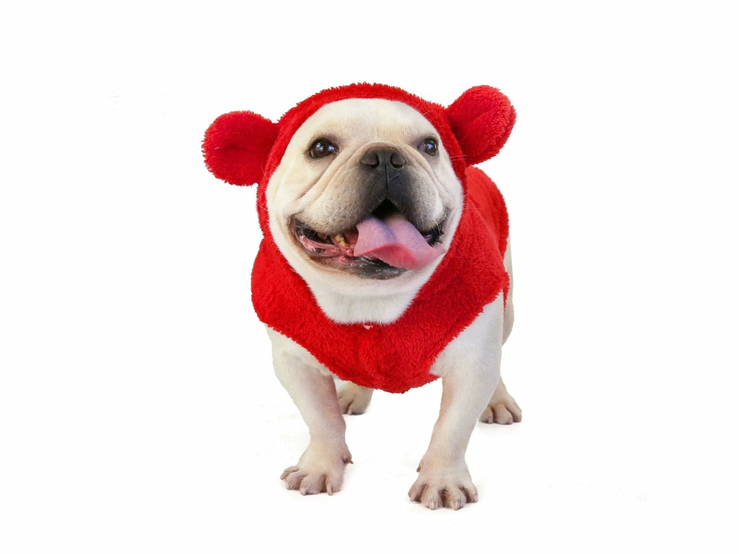 dog clothes Red L KLN-1726