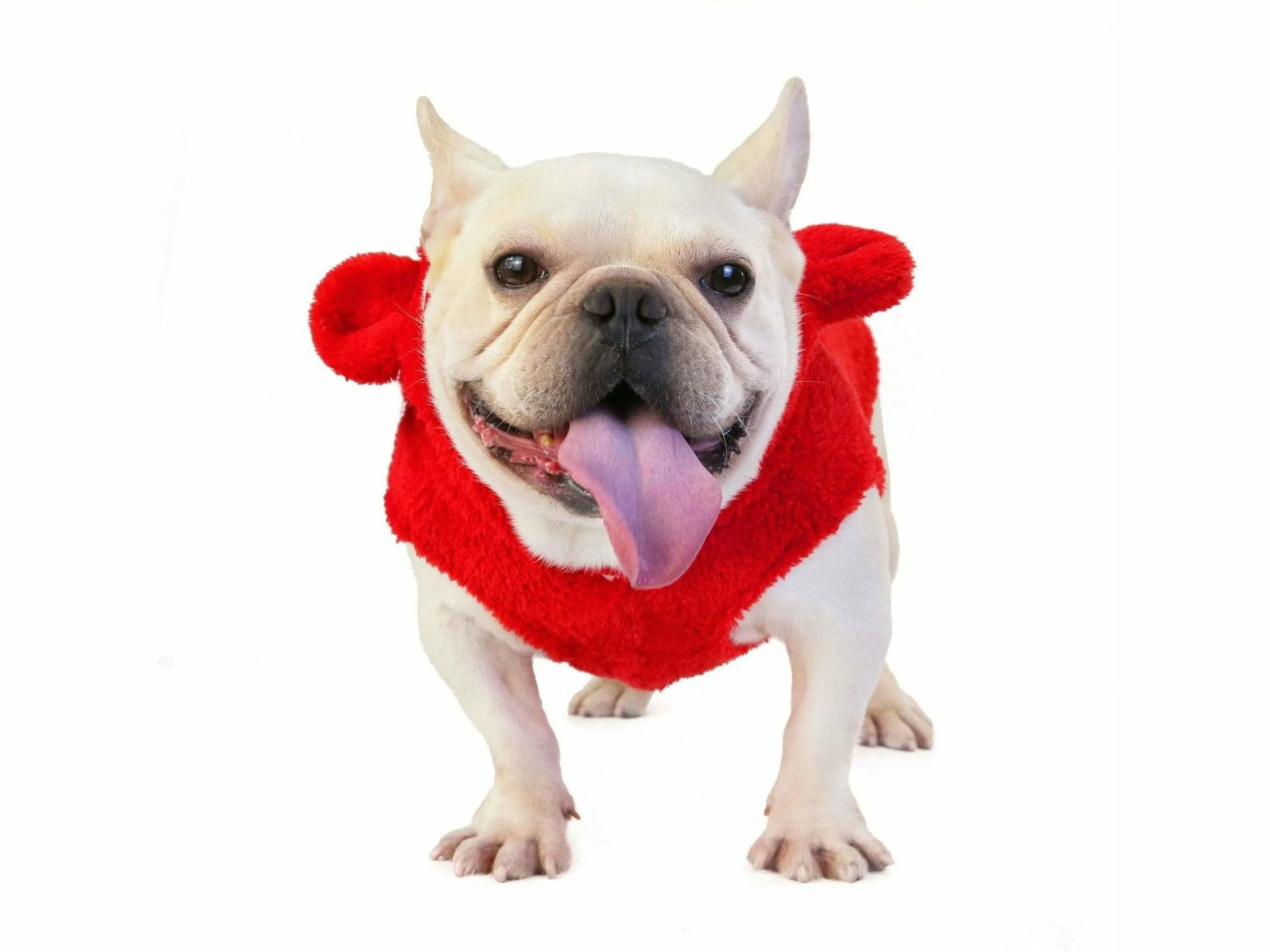 dog clothes Red L KLN-1726